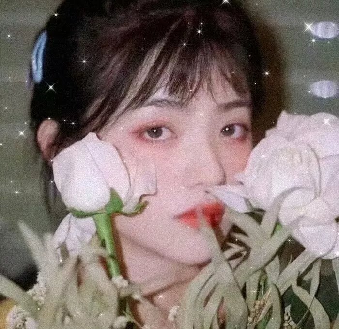 肚假情真
